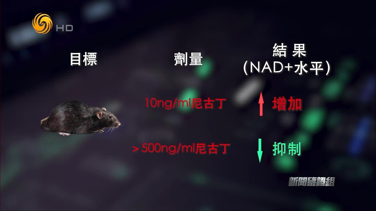 购买尼古丁备案