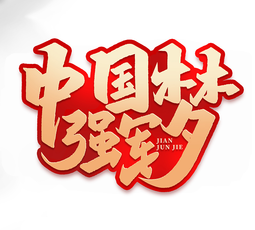 中国vip域名专场拍卖会