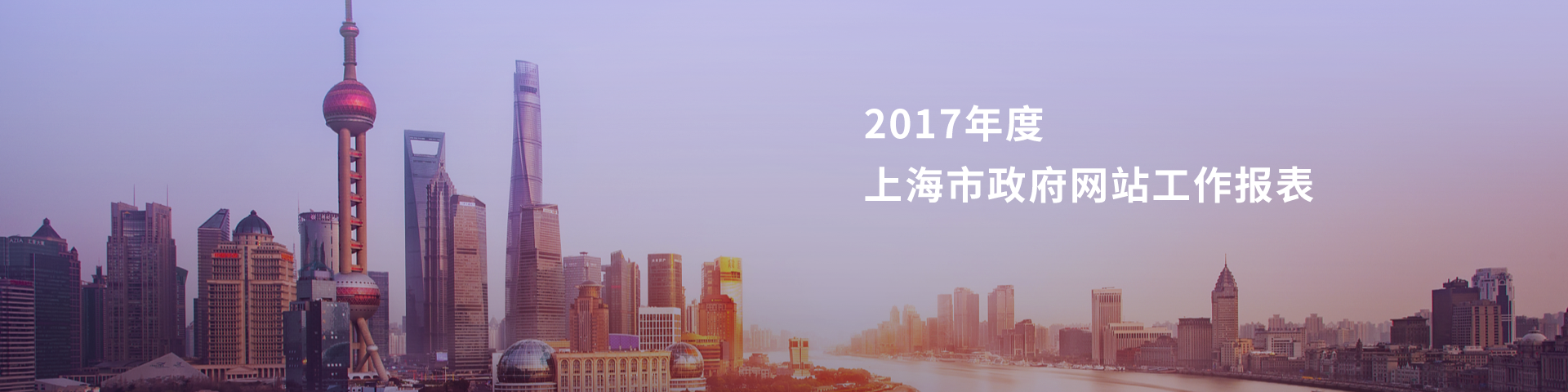 上海政府网站建设的不足