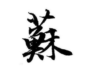 苏尔寿主机备件厂家