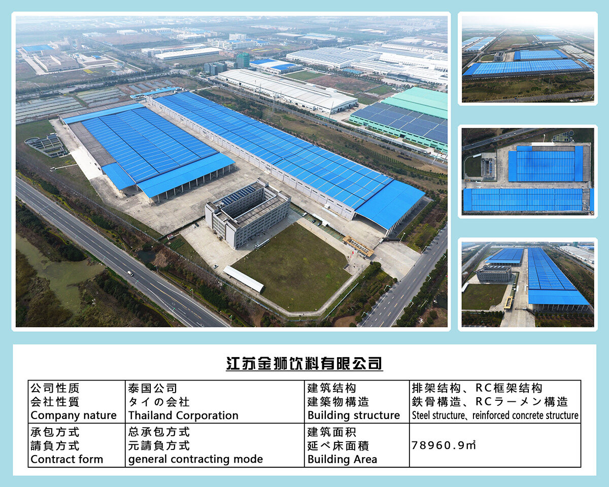 专业的网站建设找汉狮