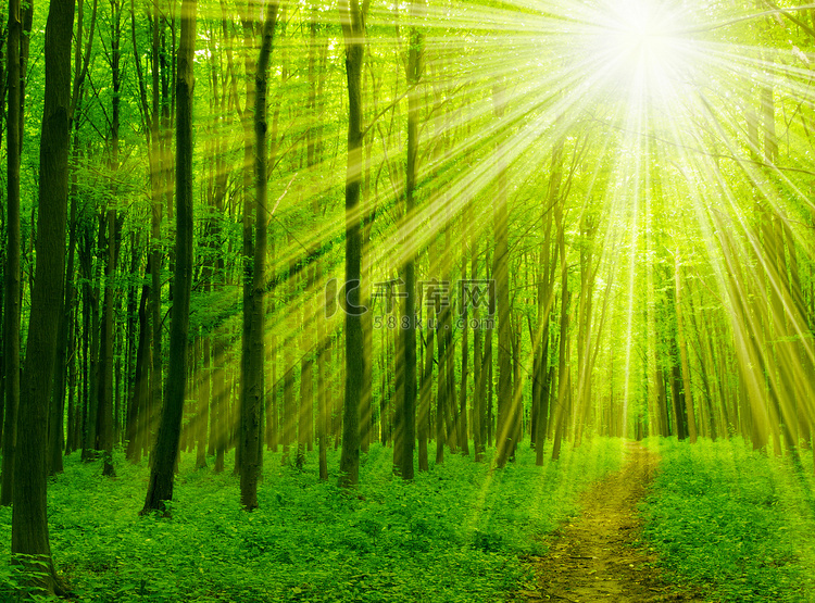 阳光租房备案房屋来源选什么