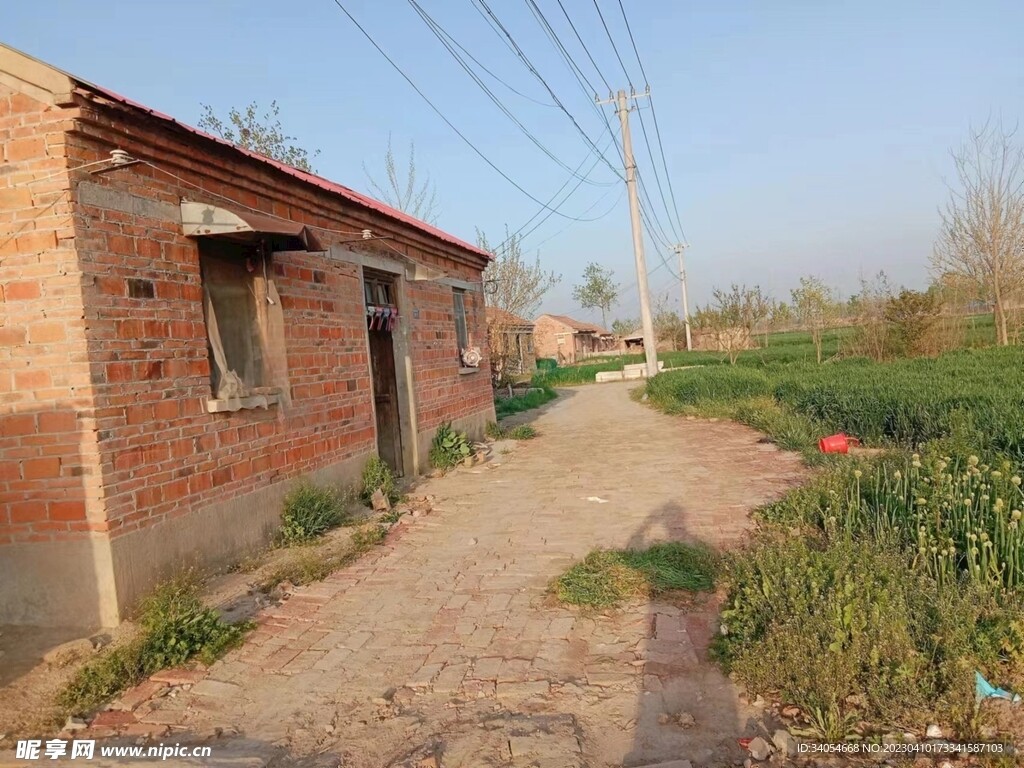 农村客运定制班线备案表格