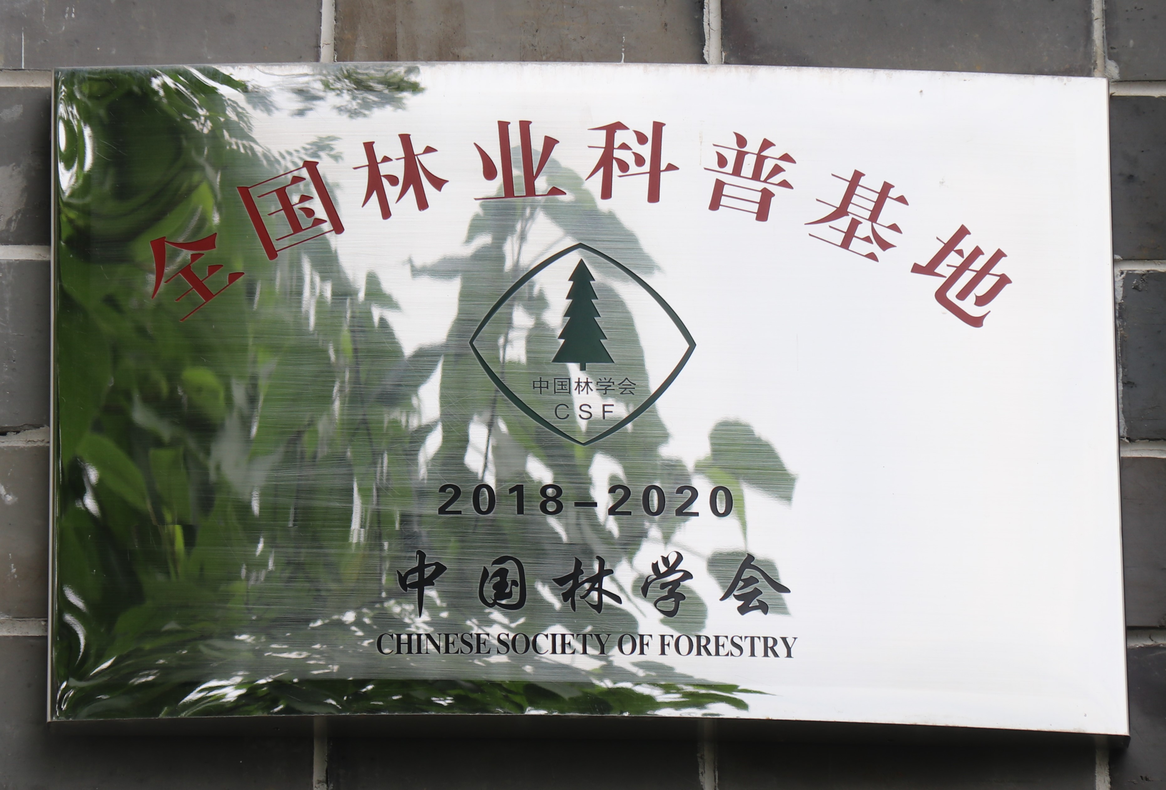 柳州绿牌要备案登记吗