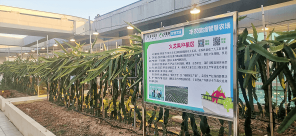 长丰县淮上生态农业园区项目备案