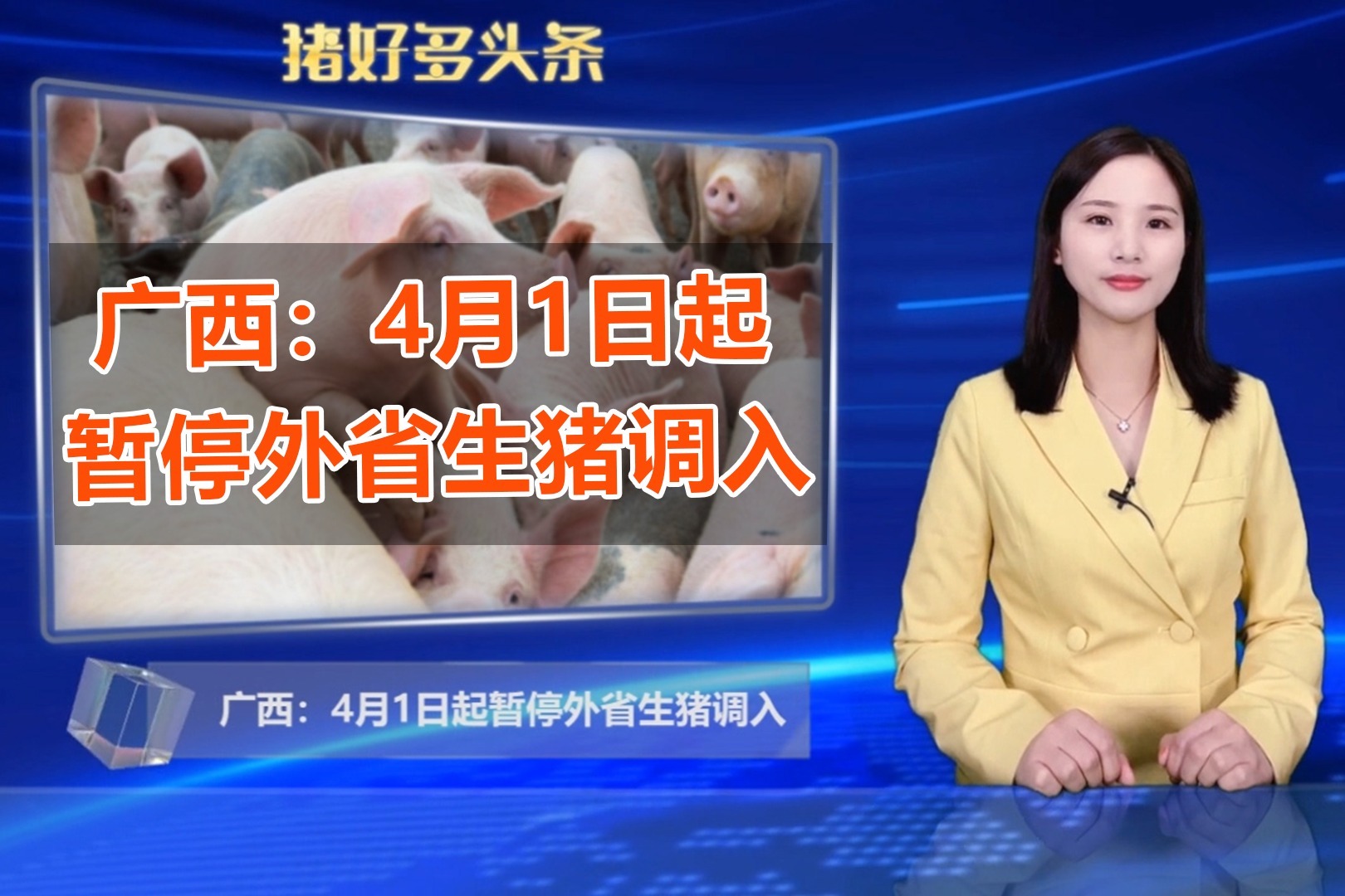没有备案的猪场违规吗