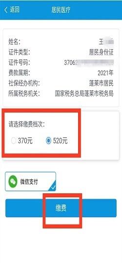 医保备案后多久可以缴费