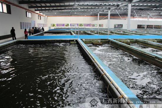 广西水产养殖备案