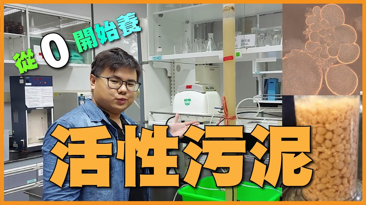 活性污泥运输备案