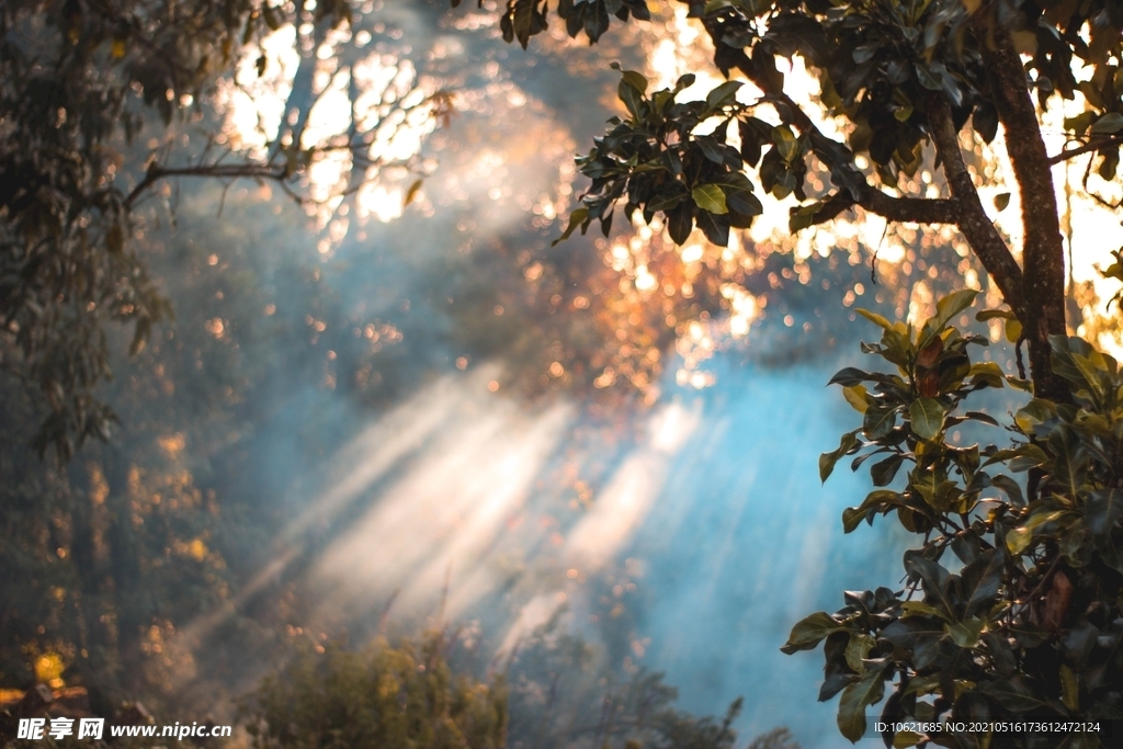 阳光租房备案房屋来源选什么