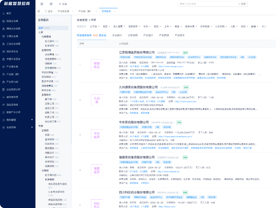 最有前景网站建设招商项目平台